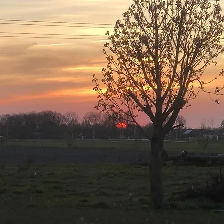 Heeringhuusen Haringhuizen