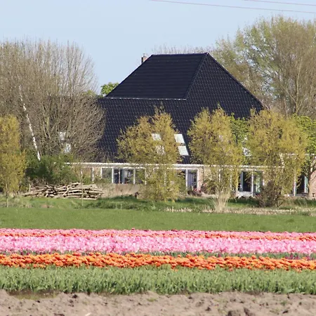 Bed & Breakfast Heeringhuusen Haringhuizen