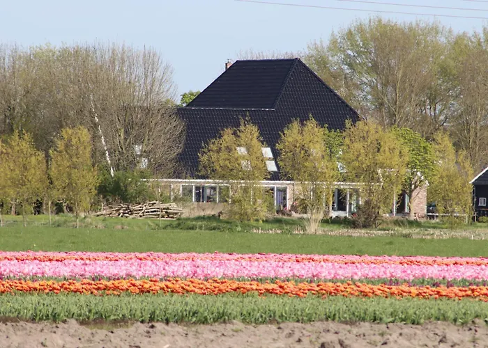 Frühstückspension Heeringhuusen Haringhuizen